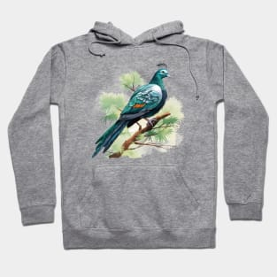 Nicobar Pigeon Hoodie